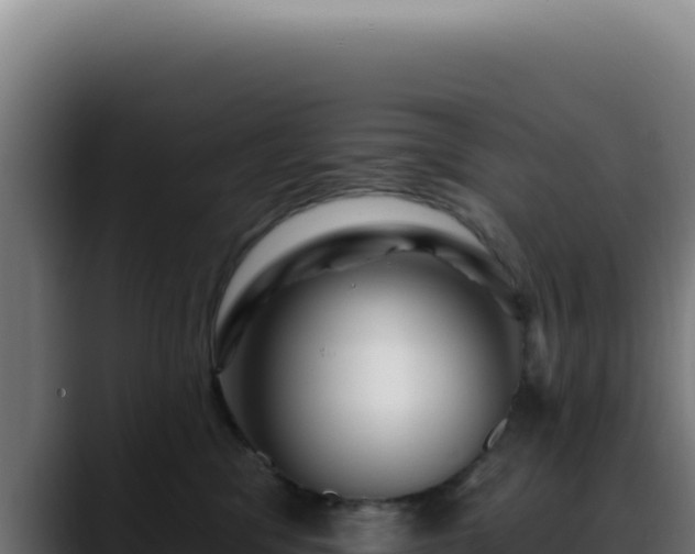 X0000088410329200705291454