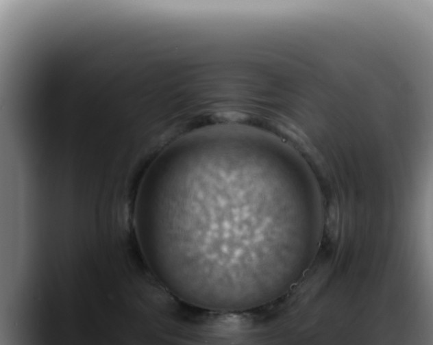 X0000088410330200705291454