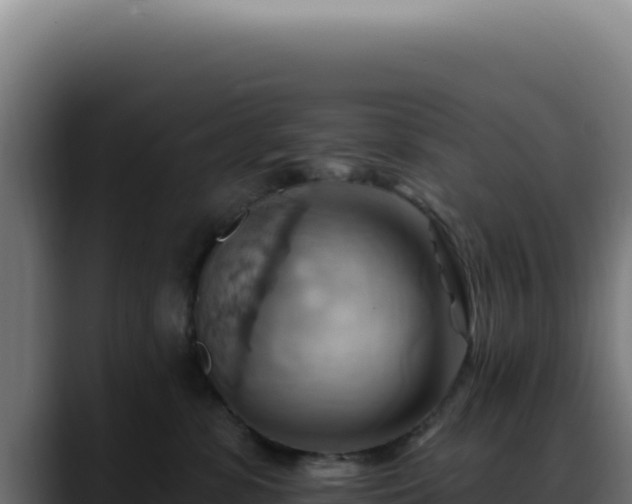 X0000088410331200705291454