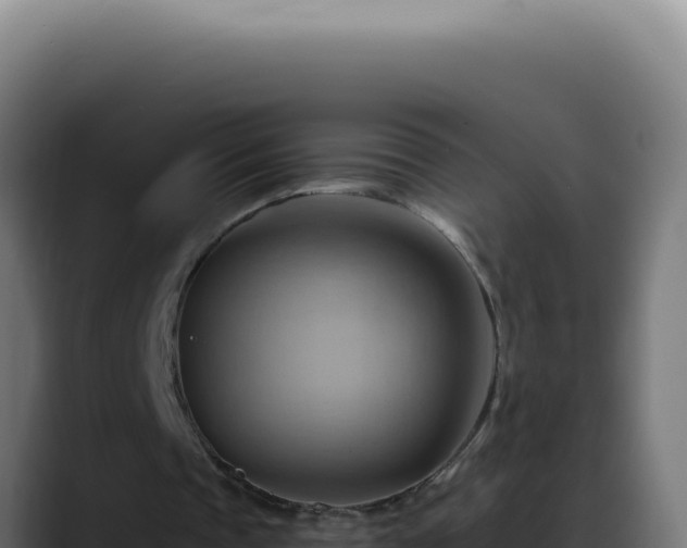 X0000088410337200705291453
