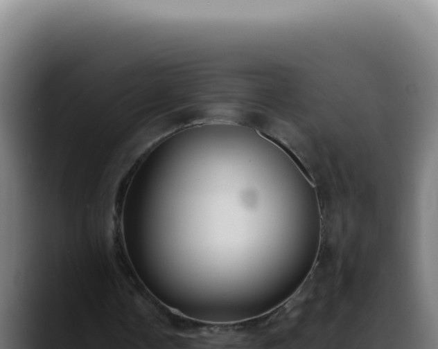X0000088410338200705291453