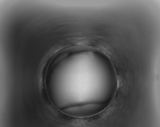 X0000088410339200705291453