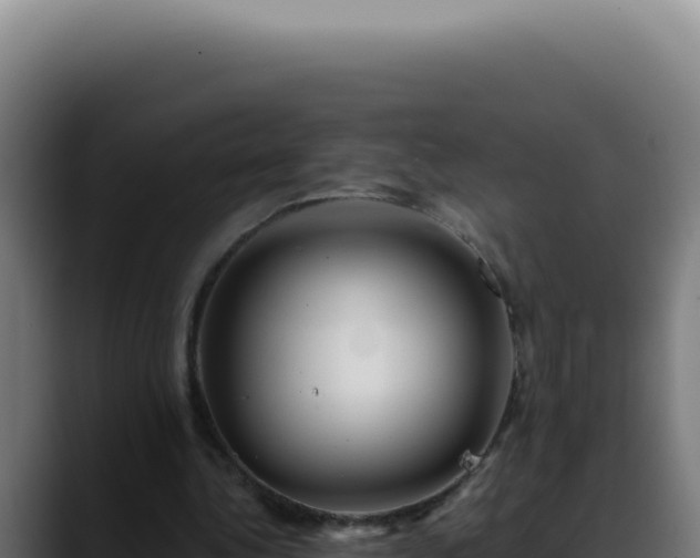 X0000088410340200705291453