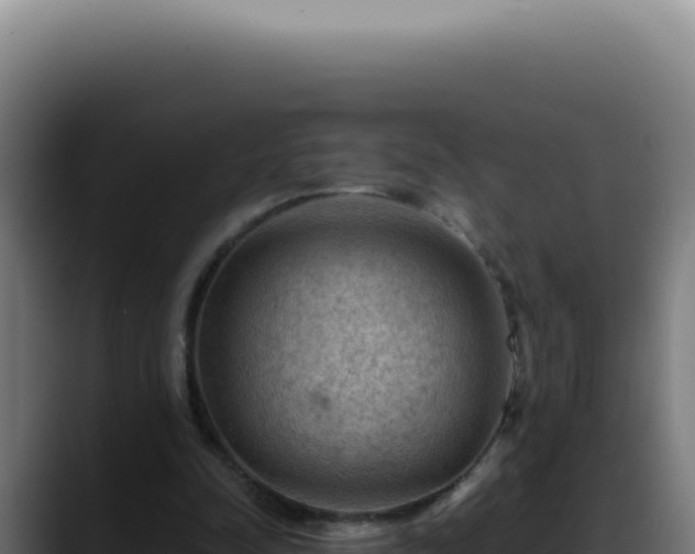 X0000088410342200705291453