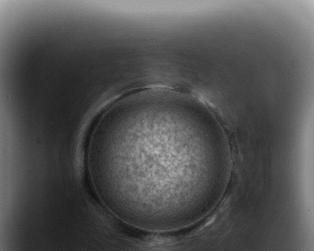 X0000088410343200705291453