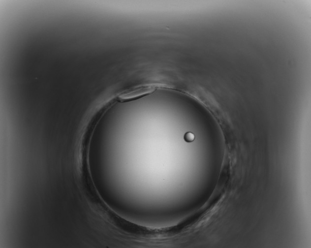 X0000088410344200705291453