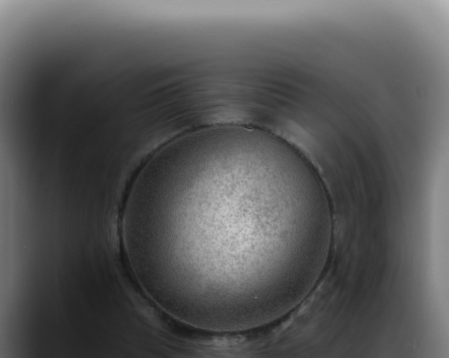 X0000088410345200705291453