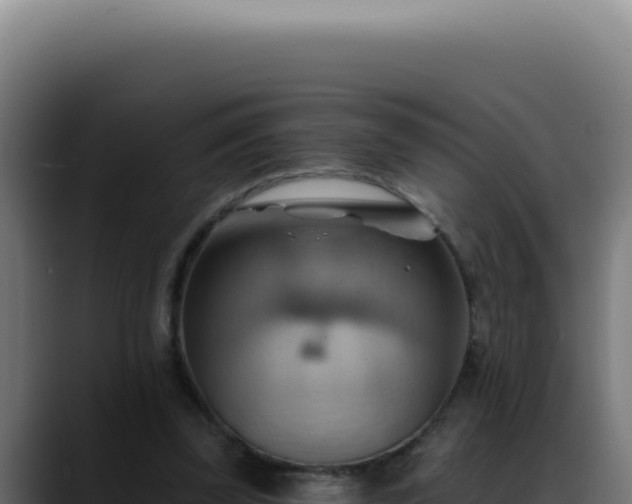 X0000088410347200705291453