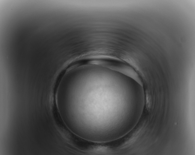 X0000088410348200705291453