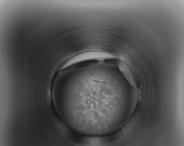 X0000088410349200705291454