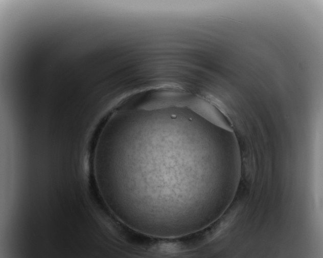 X0000088410350200705291454