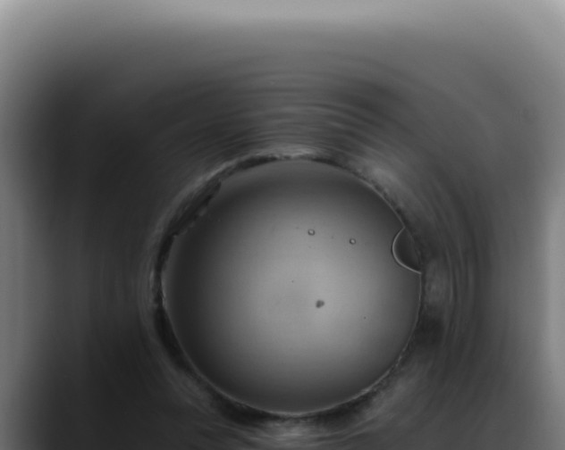 X0000088410351200705291454