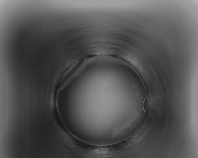 X0000088410353200705291454