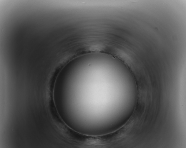 X0000088410354200705291454