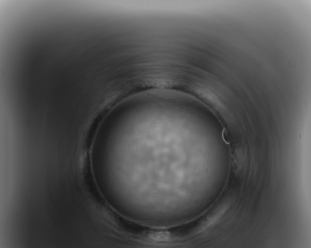 X0000088410355200705291454