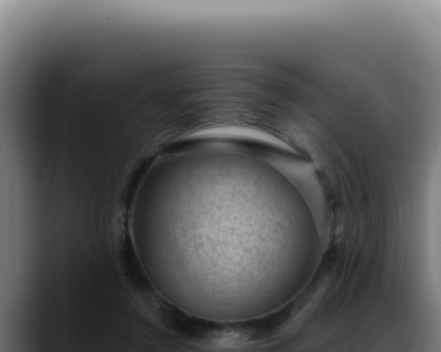 X0000088410356200705291454