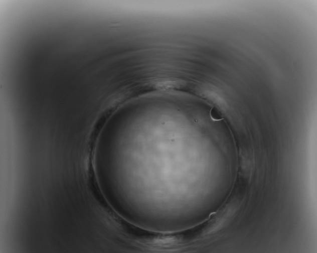X0000088410357200705291454