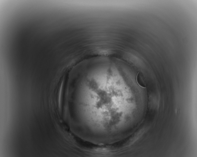 X0000088410358200705291454