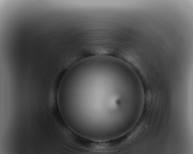 X0000088410359200705291454