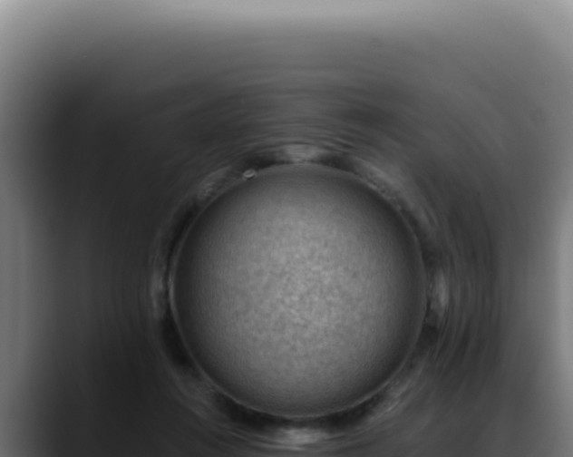 X0000088410360200705291454