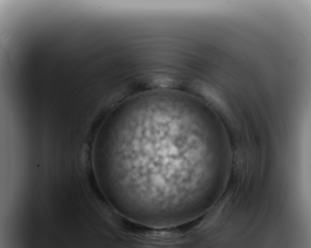 X0000088410361200705291454