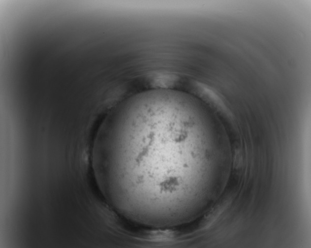 X0000088410363200705291454