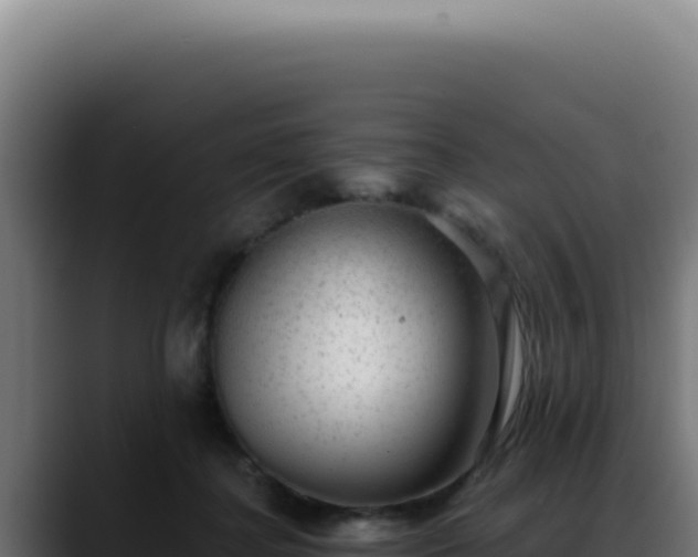 X0000088410364200705291454
