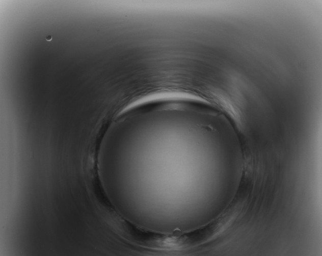 X0000088410365200705291454