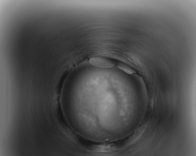 X0000088410366200705291454