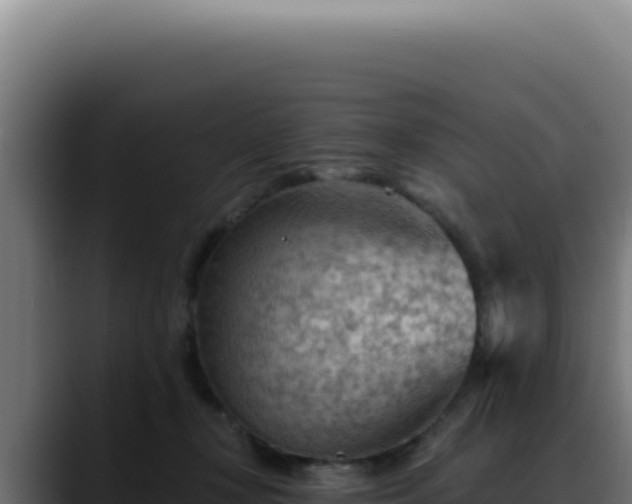 X0000088410367200705291454