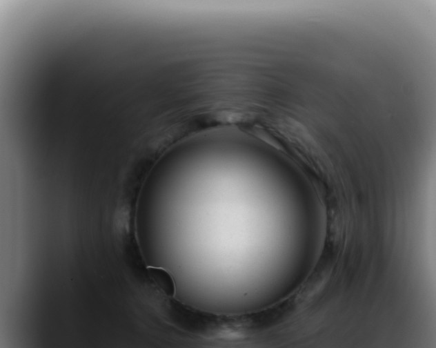 X0000088410368200705291454