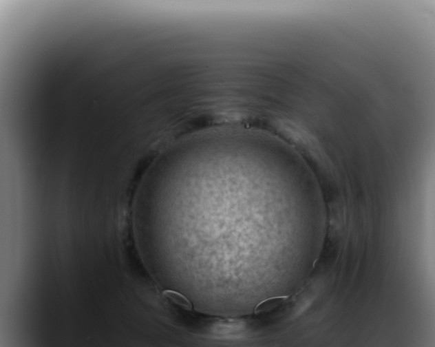 X0000088410369200705291454