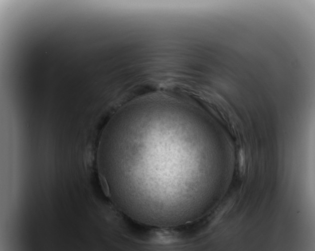 X0000088410372200705291454