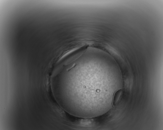 X0000088410373200705291454