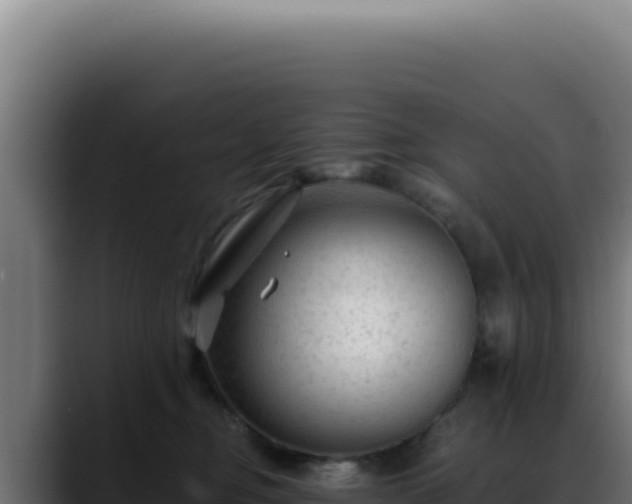 X0000088410374200705291454