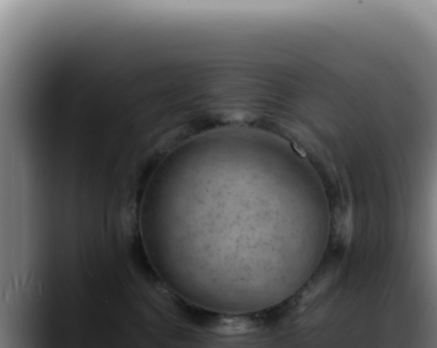 X0000088410376200705291454