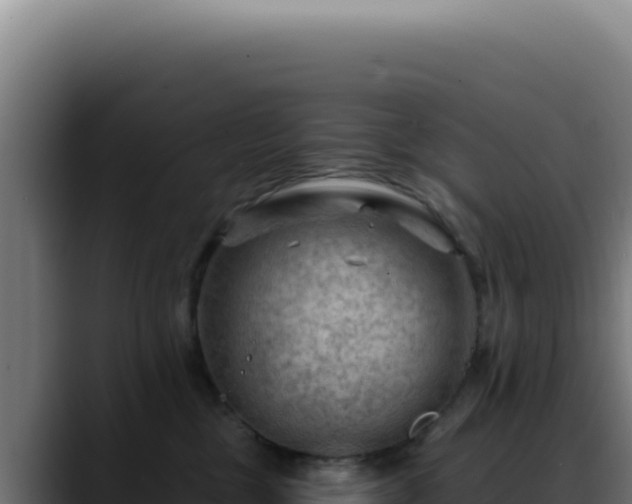 X0000088410377200705291454