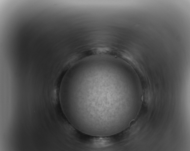 X0000088410378200705291454