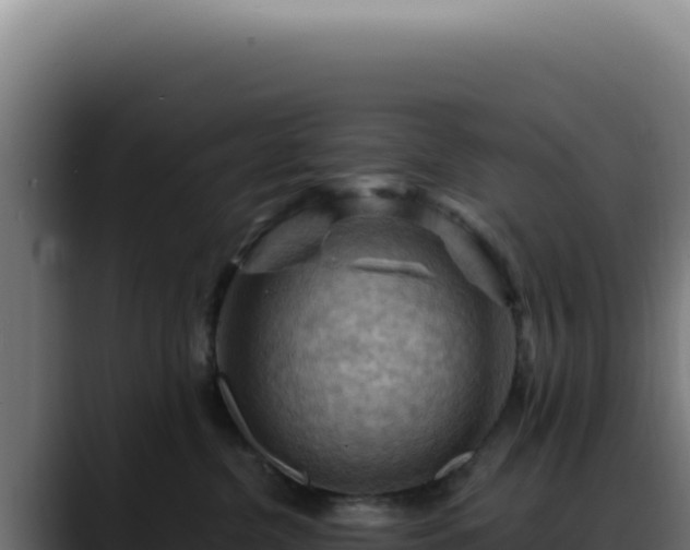 X0000088410380200705291454