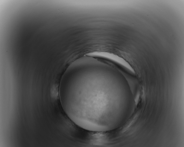 X0000088410383200705291454