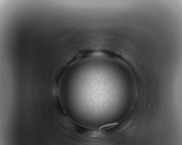X0000088410384200705291454