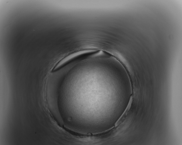 X0000088410385200705291453