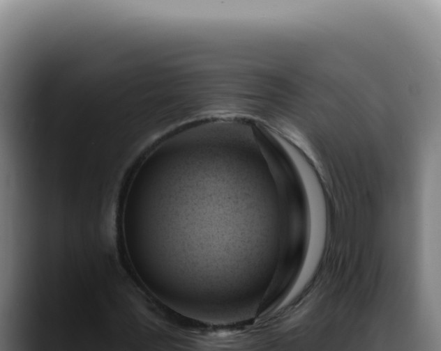 X0000088410387200705291453