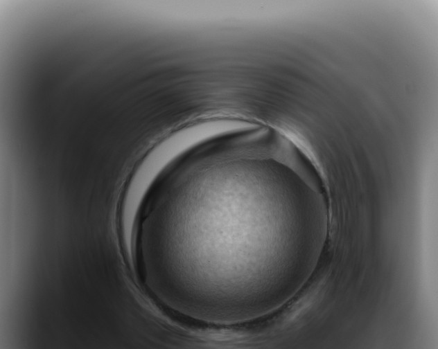 X0000088410389200705291453