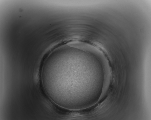 X0000088410392200705291453