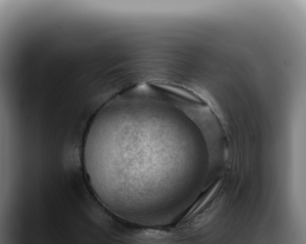 X0000088410393200705291453