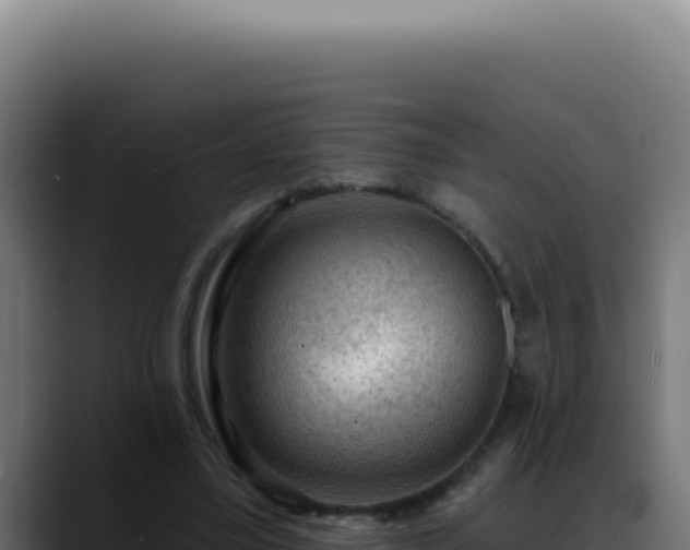 X0000088410395200705291453