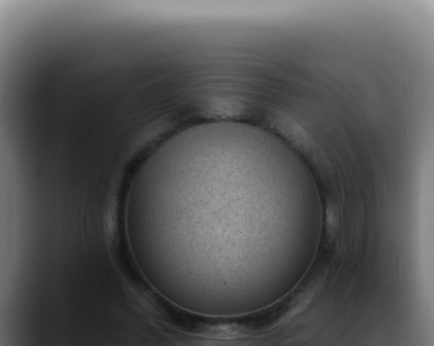 X0000088410396200705291453