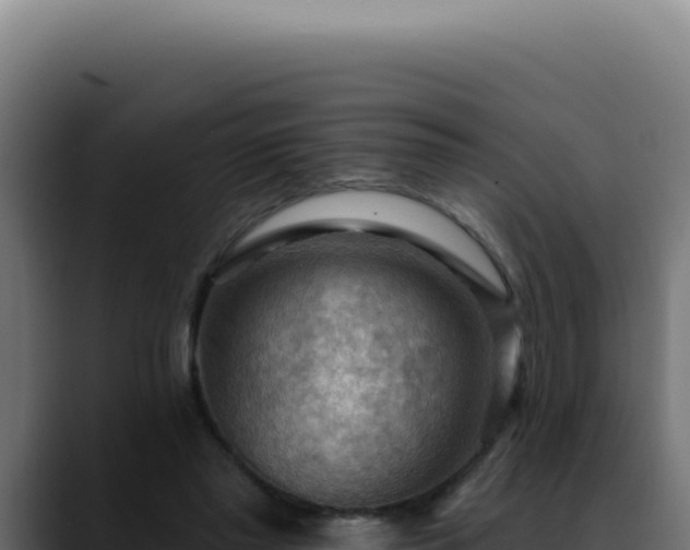 X0000088410397200705291453