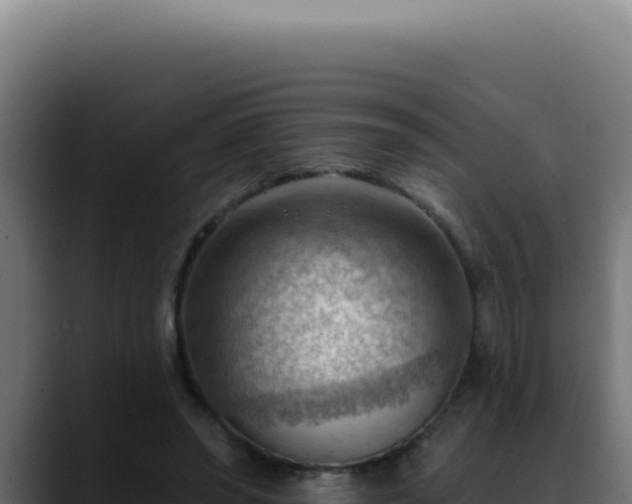 X0000088410398200705291453